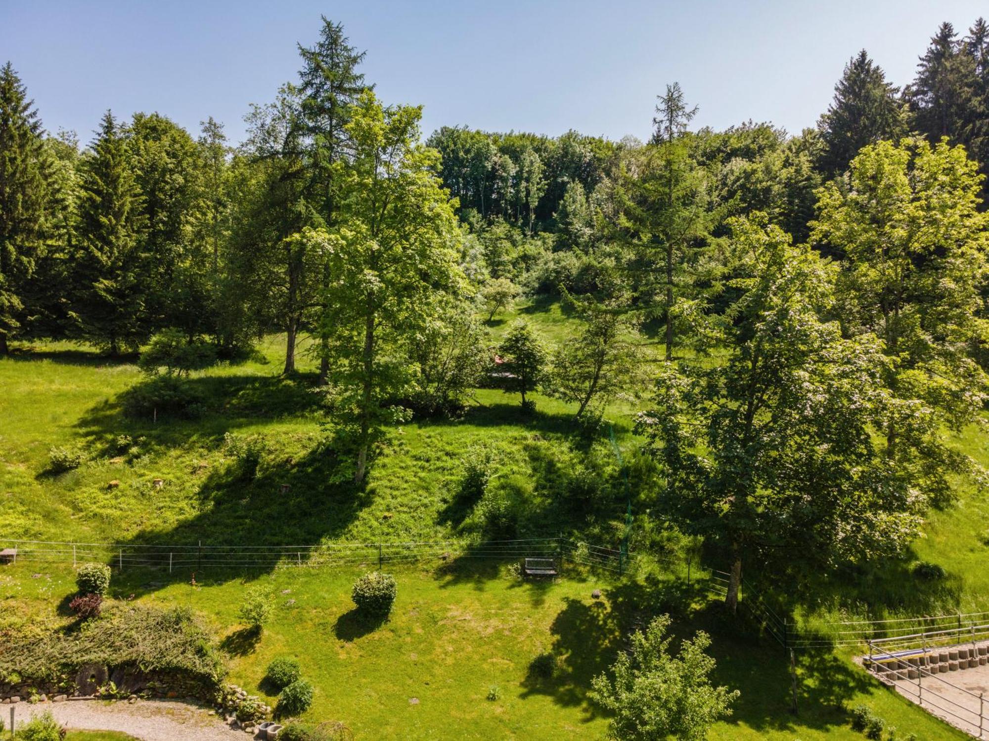 Appartement Balzerberg Weiler-Simmerberg